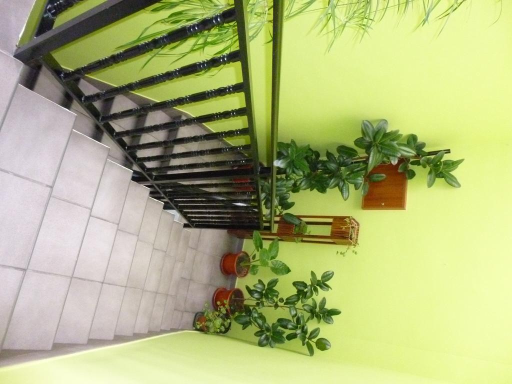 Hostal Ciudad De ナヘラ エクステリア 写真
